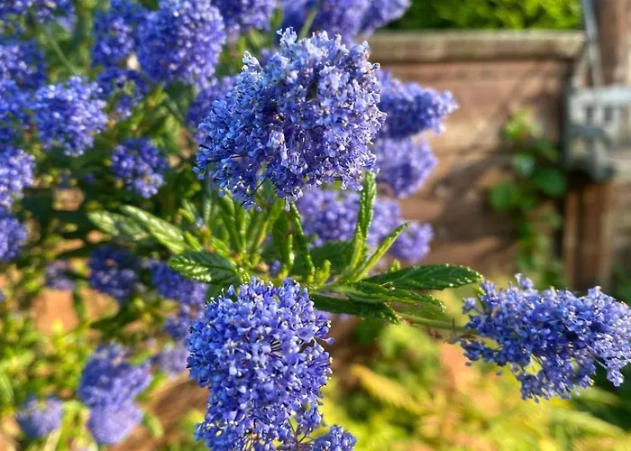 Ferienhaus Sea View Dunsley Sandsend